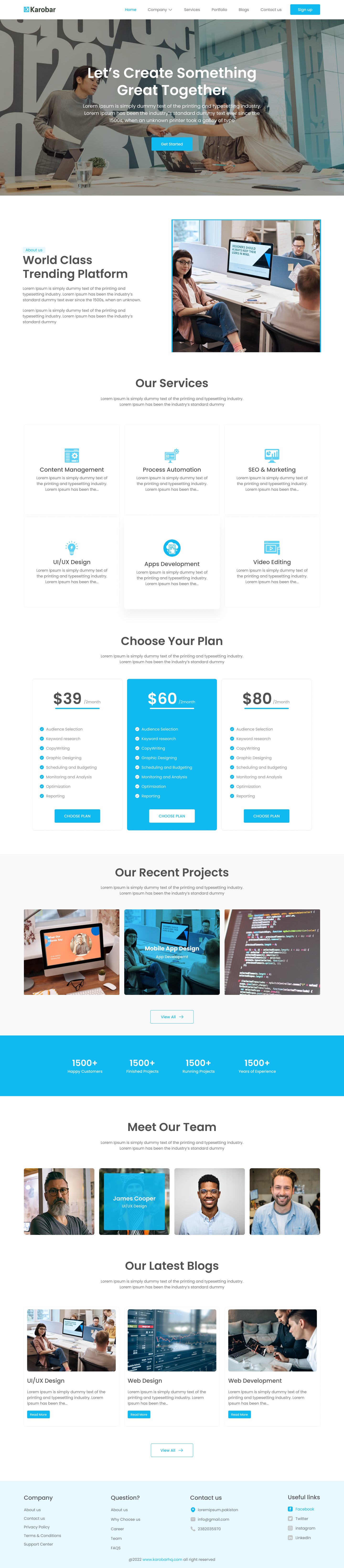 Business website landing page