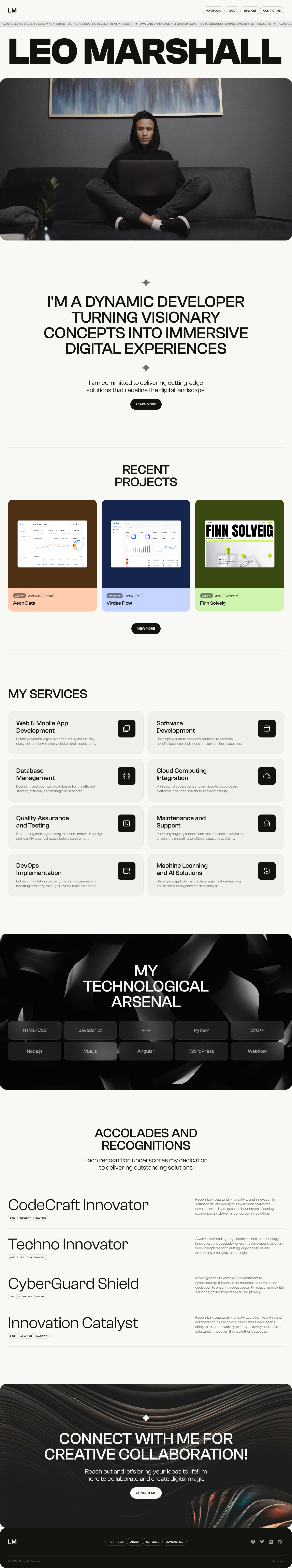 Developer Portfolio landing page design
